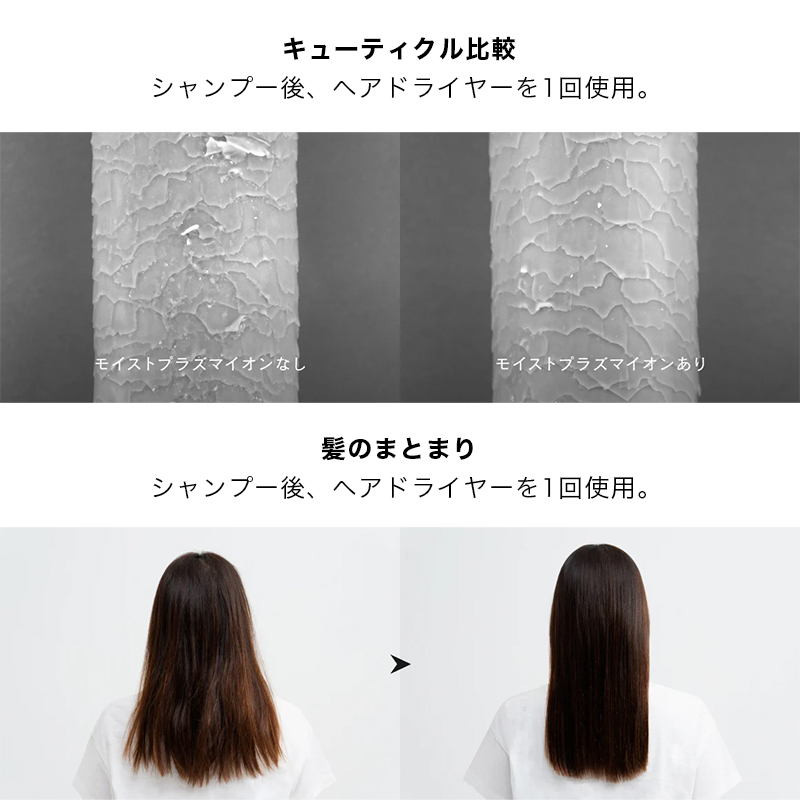 モイストプラズマイオン