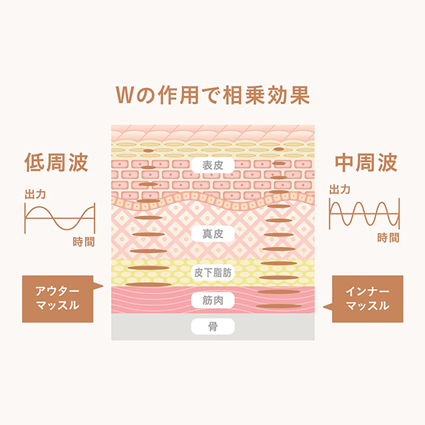 中周波・低周波